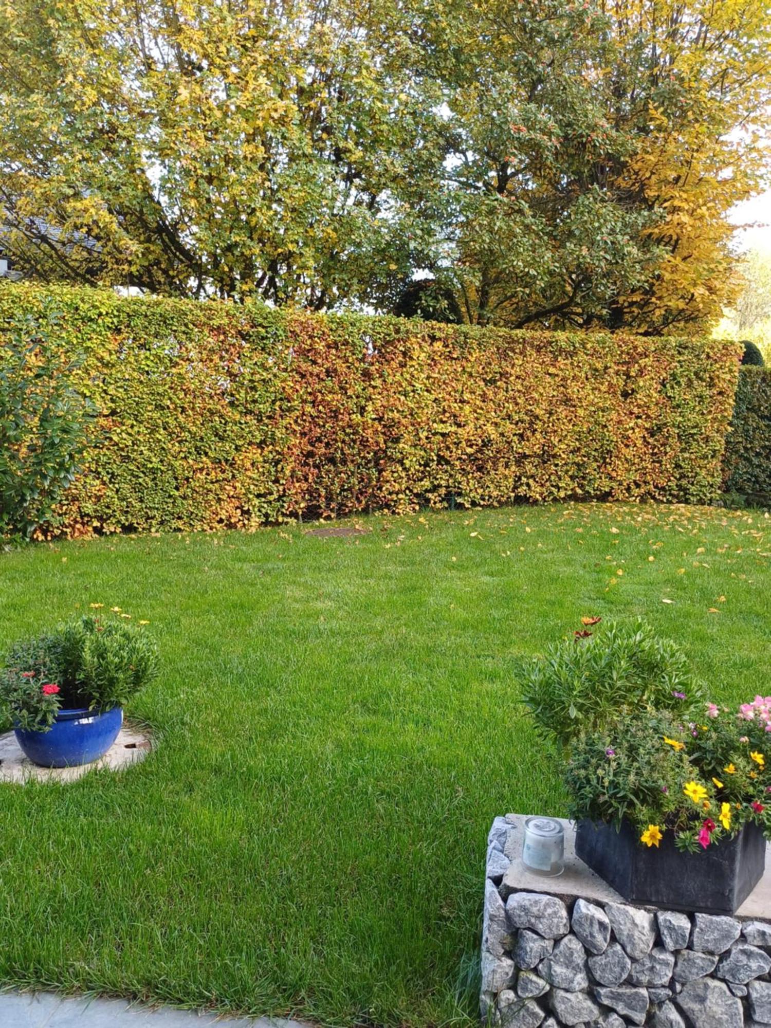 Ferienwohnung Claudia Mit Terrasse Nussdorf am Attersee Buitenkant foto